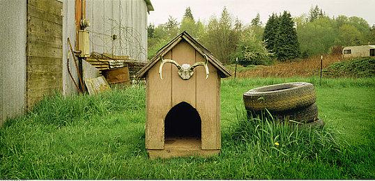 《黎明杀机》冬促福利满满 时装上新活动来袭